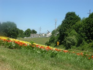 Kennett Township
