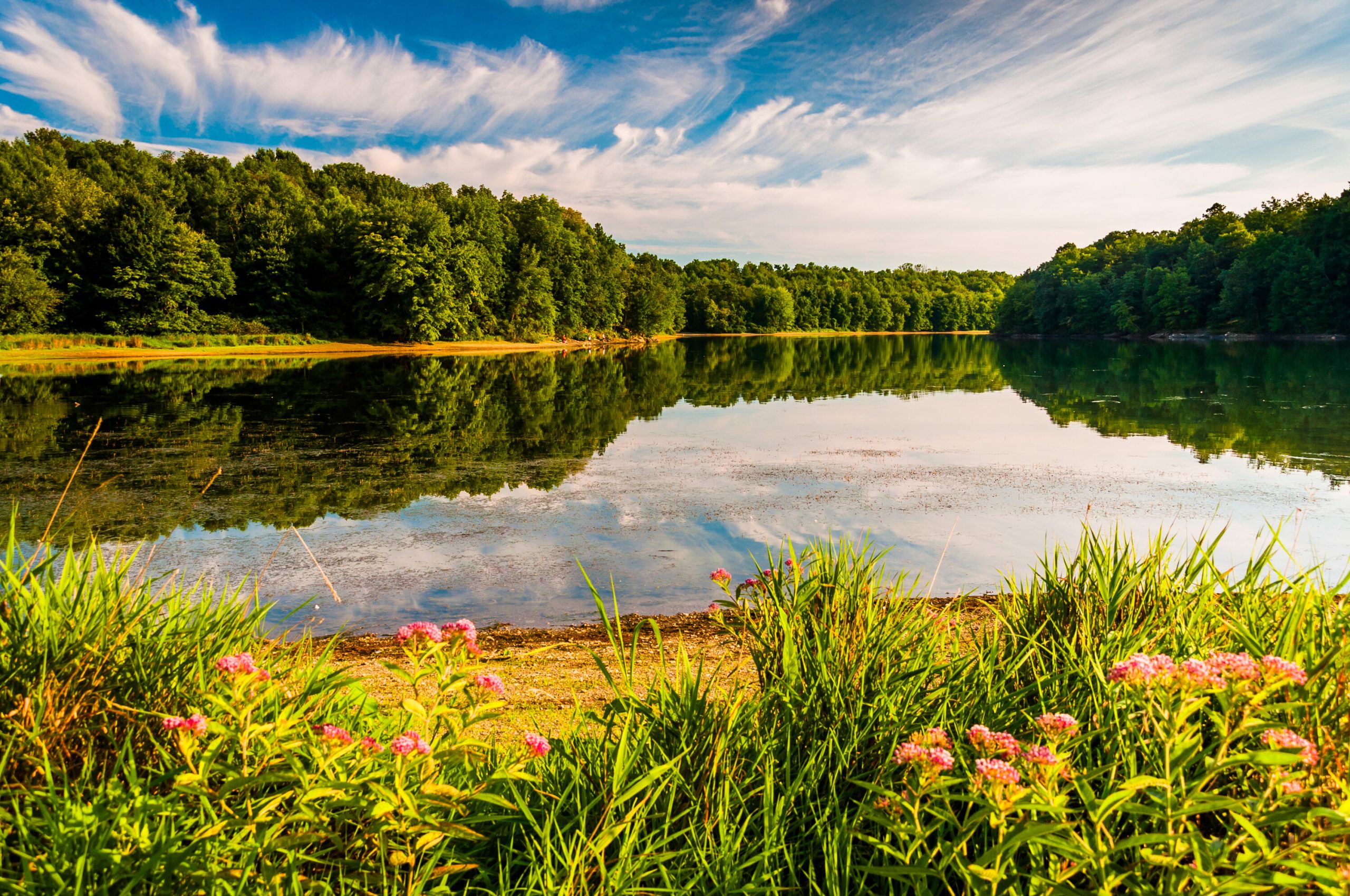 canstockphoto15386186 (1)