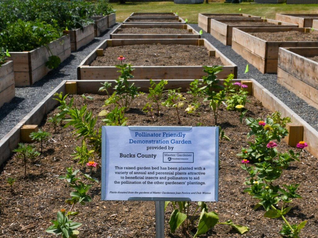 Healing the 2023 Keep PA Beautiful