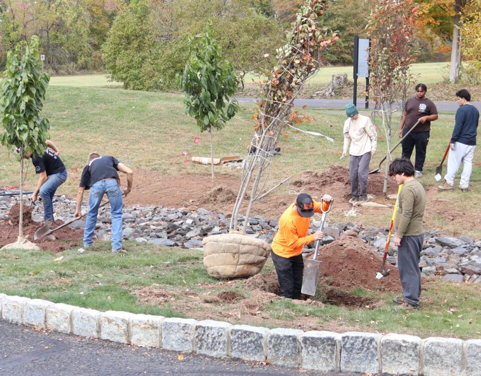 Students at Delaware Valley University plant trees as part of a 2025 Healing The Planet grant.