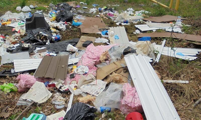Illegally dumped trash in Michaux State Forest